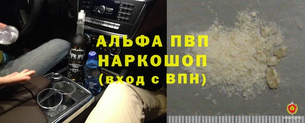 мдпв Богданович