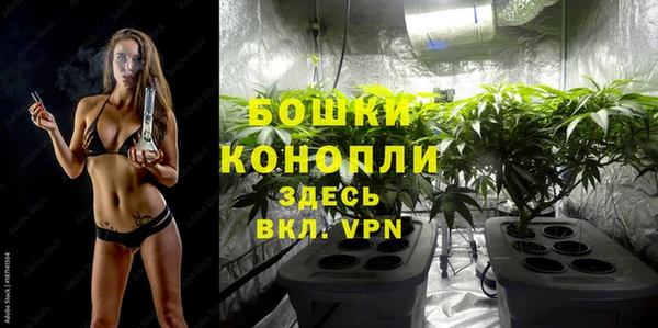 мдпв Богданович