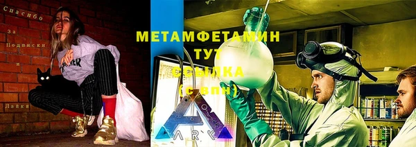 мдпв Богданович